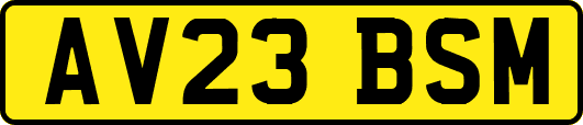 AV23BSM