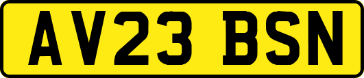 AV23BSN