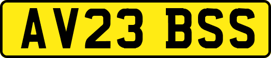 AV23BSS