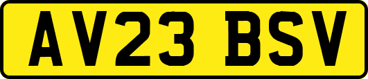 AV23BSV