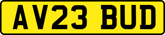 AV23BUD