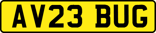 AV23BUG