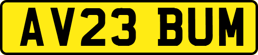 AV23BUM