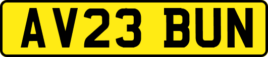 AV23BUN