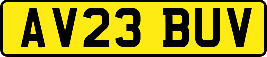 AV23BUV