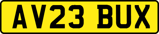 AV23BUX