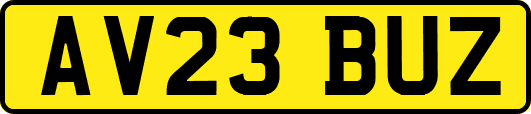 AV23BUZ