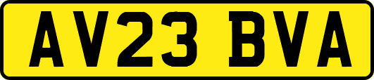 AV23BVA
