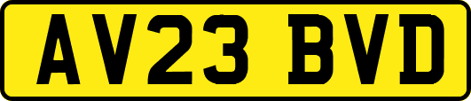 AV23BVD