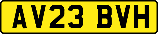 AV23BVH