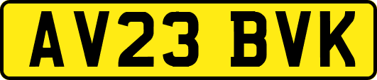 AV23BVK