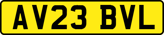 AV23BVL