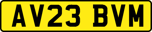 AV23BVM