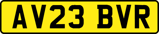 AV23BVR