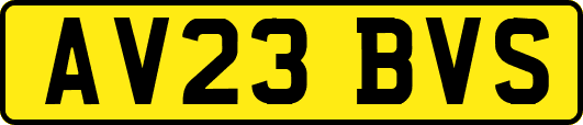 AV23BVS