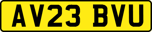 AV23BVU