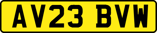 AV23BVW