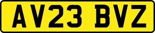 AV23BVZ
