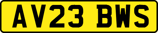 AV23BWS