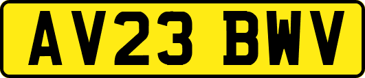 AV23BWV