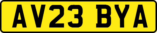 AV23BYA