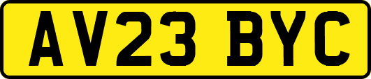 AV23BYC