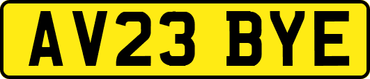 AV23BYE