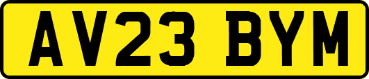 AV23BYM