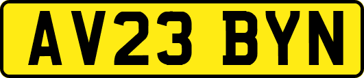 AV23BYN