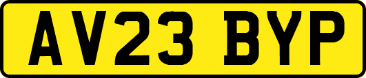 AV23BYP