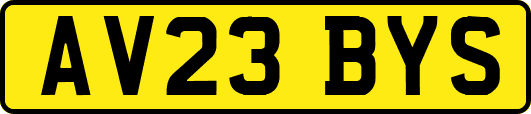 AV23BYS