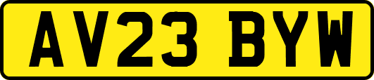 AV23BYW