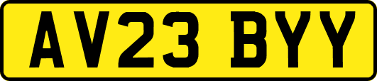 AV23BYY