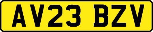 AV23BZV