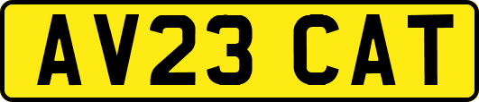 AV23CAT