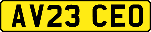 AV23CEO