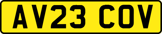 AV23COV