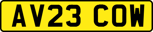 AV23COW