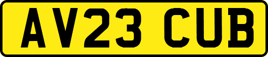 AV23CUB