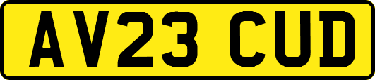 AV23CUD