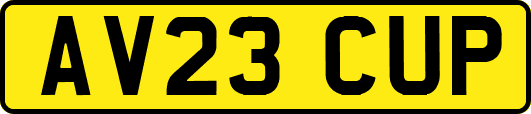 AV23CUP