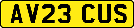 AV23CUS