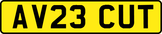 AV23CUT