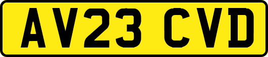 AV23CVD