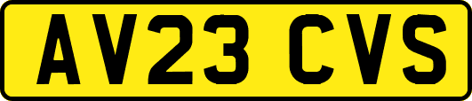 AV23CVS