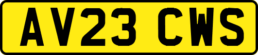 AV23CWS