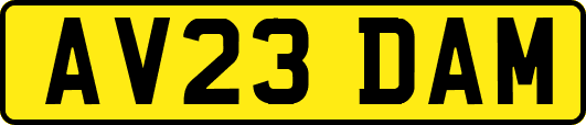 AV23DAM