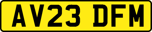 AV23DFM