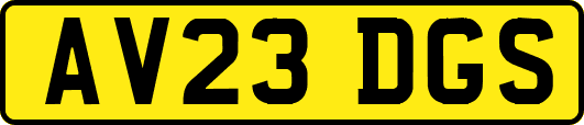 AV23DGS