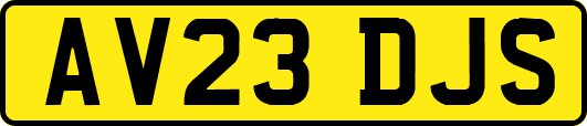 AV23DJS